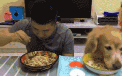 如果你家也有只吃貨狗狗，這點一定要注意！